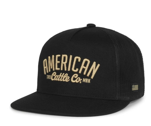 Twisted T Western & More ACC Embroidered Hat (Black)