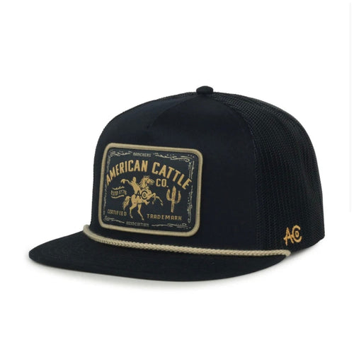 Twisted T Western & More Bucking Horse Hat (Navy)