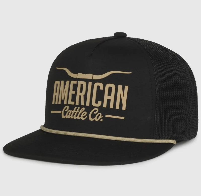 Twisted T Western & More Longhorn Hat- Black Silicone