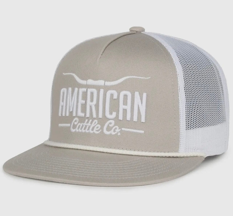 Twisted T Western & More Longhorn Hat- Gray/White
