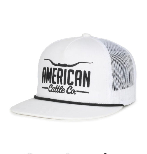 Twisted T Western & More Longhorn Hat (White/Black)