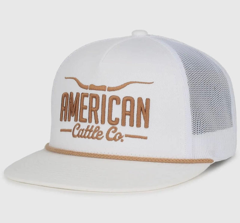 Twisted T Western & More Longhorn Hat-White/Gold