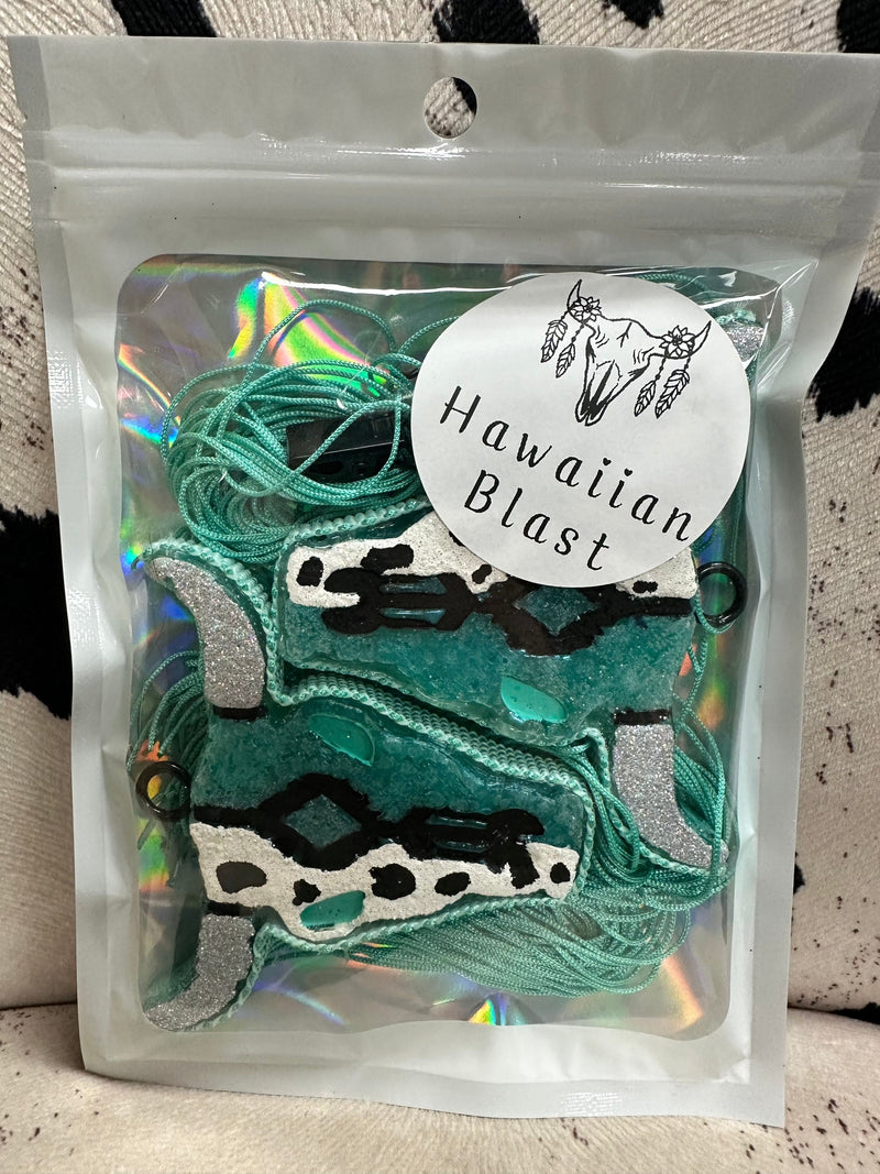 Twisted T Western & More Teal & Silver Cow Vent Clips