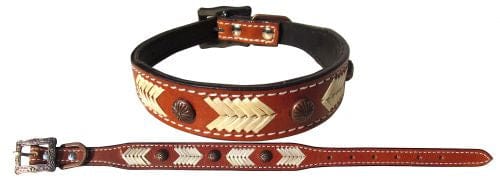 showman Dog Collars Leather w/ Leather & Stud Accents Dog Collar