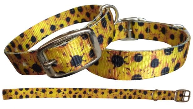 showman Dog Collars M 11”-16.5” / Sunflower Nylon Patterned Dog Collars